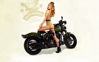 картинки harley davidson